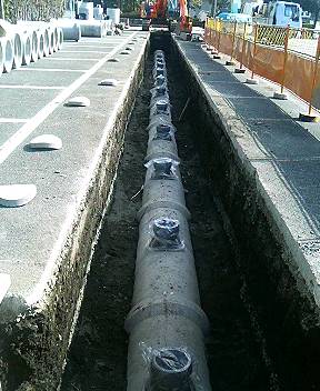 2005-3-4 001.jpg